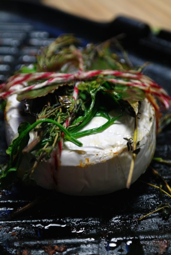 Unglaublicher KräuterCamembert vom Grill GourmetGuerilla