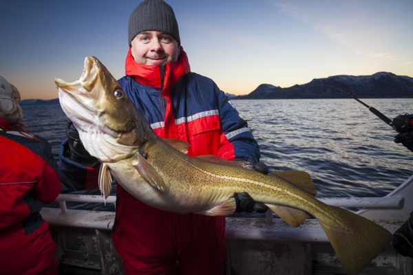 Das große Skrei Abenteuer Lofoten Stefan Karlsson