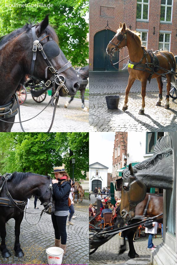 Brügge Kutschfahrt Pferde #gourmetguerilla #städtetipps #reisen #brügge