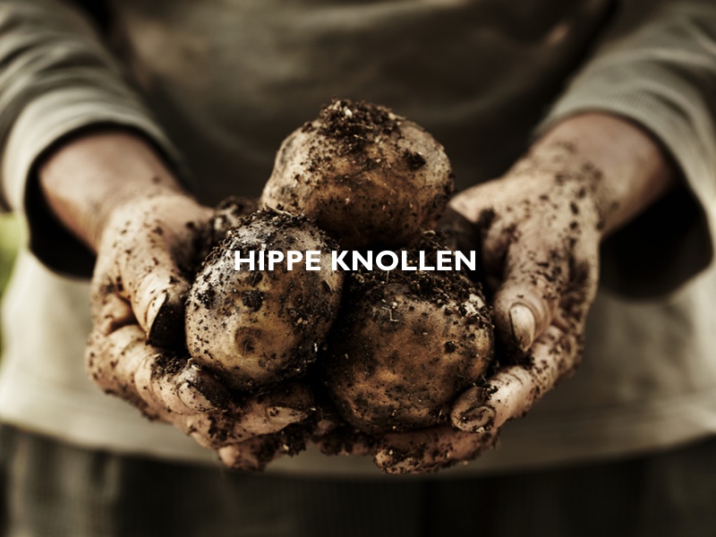 GourmetGuerilla Hippe Knollen Blogevent Header #gourmetguerilla #kartoffeln #rezepte