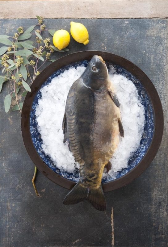 Fisch Kauf Haus Fischers Fritze fischt in der Müritz frische Fische