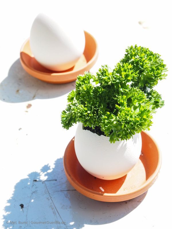 Eggling – Kräuter-Eier für die Fensterbank | GourmetGuerilla.de