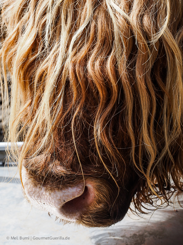 Wildpark Schwarze Berge Hamburg | GourmetGuerilla.de