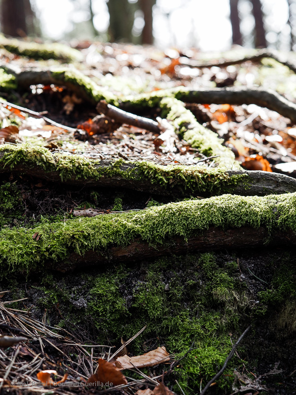 Wildpark Schwarze Berge Hamburg | GourmetGuerilla.de
