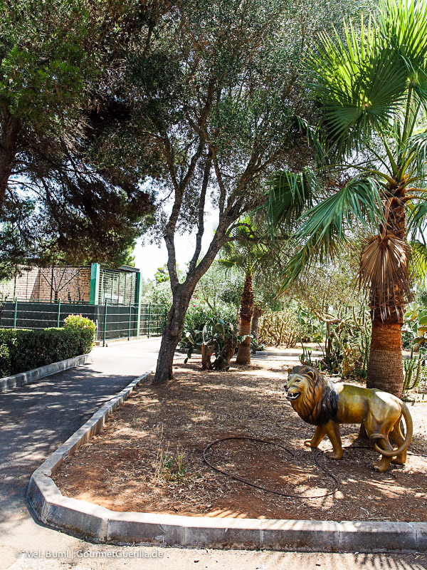 Mallorca Zoo Safari | GourmetGuerilla.de
