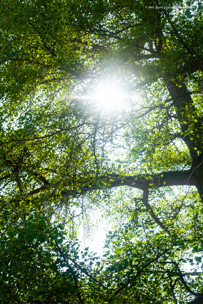 Planten und Blomen Hamburg | GourmetGuerilla.de