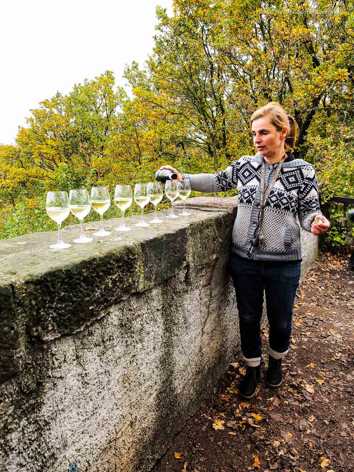 Anja Fritz Weinwandern Sächsische Weinstraße | GourmetGuerilla.de