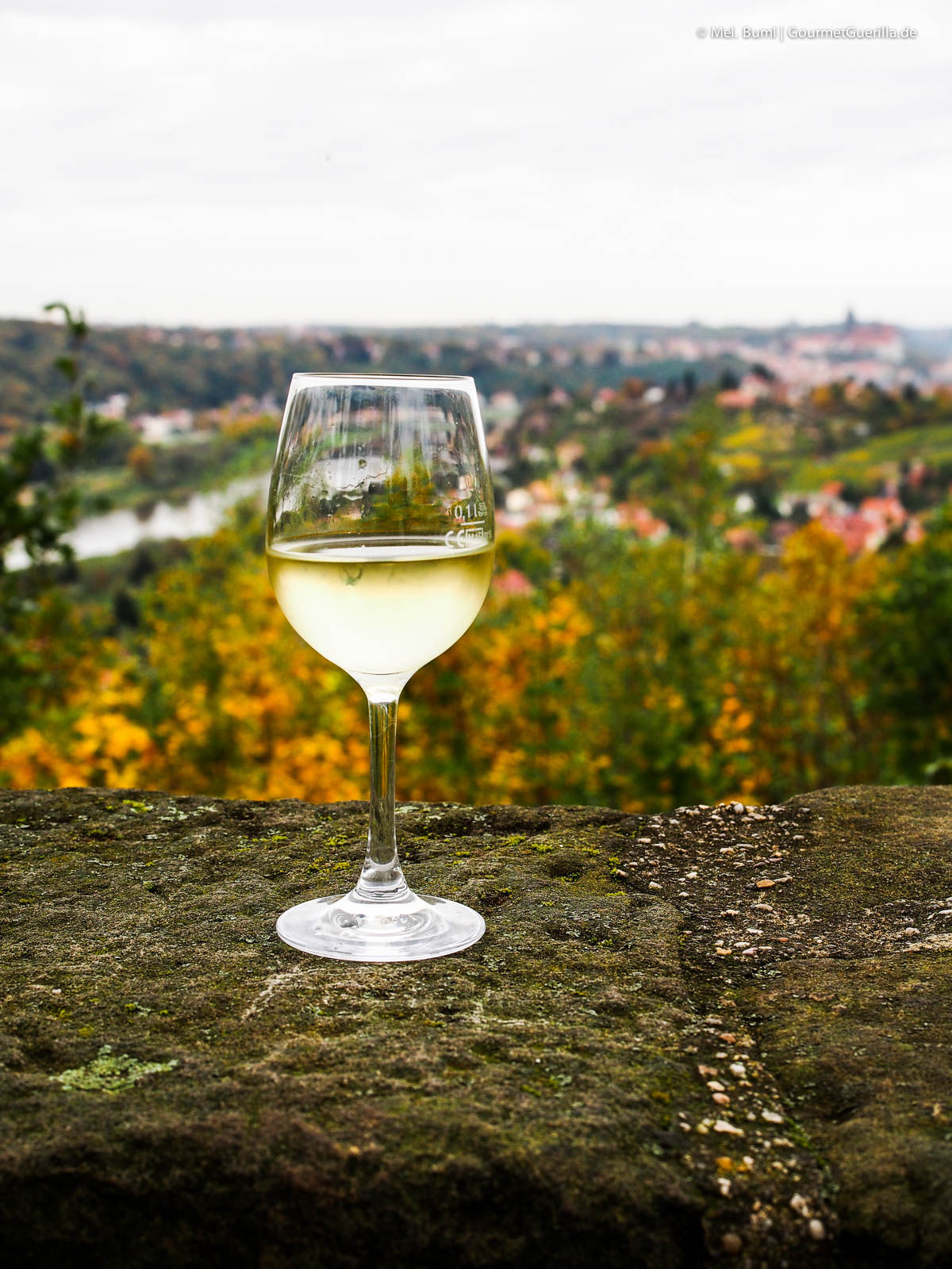 Weinprobe Weinwandern Weingut Mariaberg Anja Fritz | GourmetGuerilla.de
