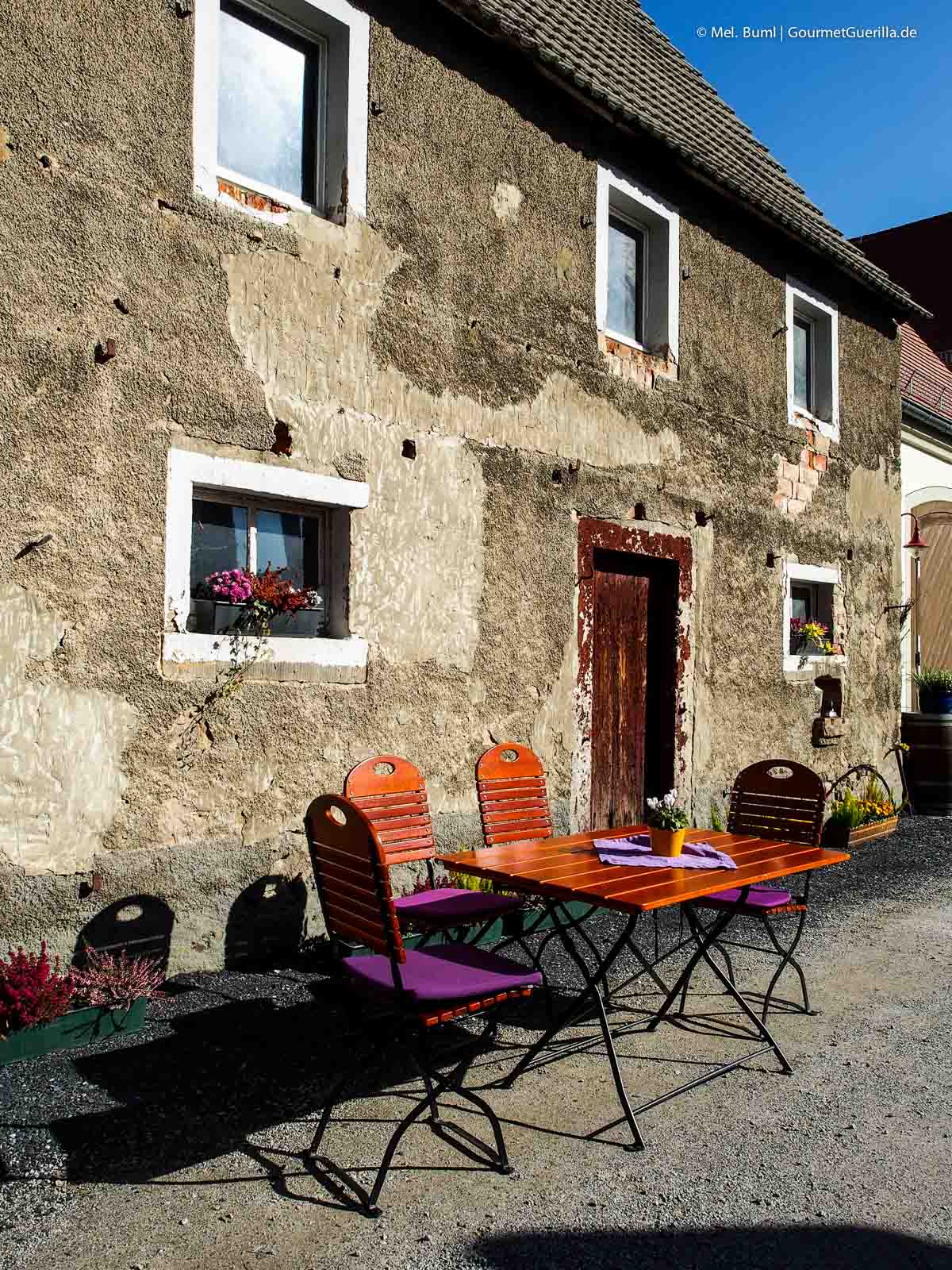 Weingut Schuh Weinwandern Sächsische Weinstraße Meißen | GourmetGuerilla.de