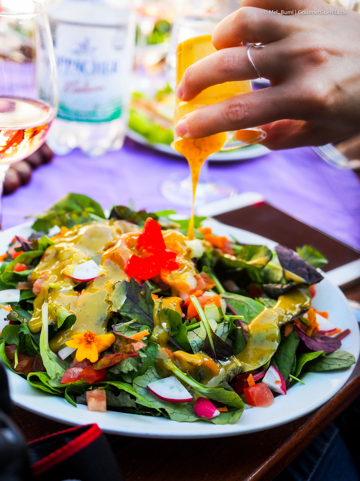 Mittagessen Weingut Schuh Weinwandern Sächsische Weinstraße Meißen | GourmetGuerilla.de