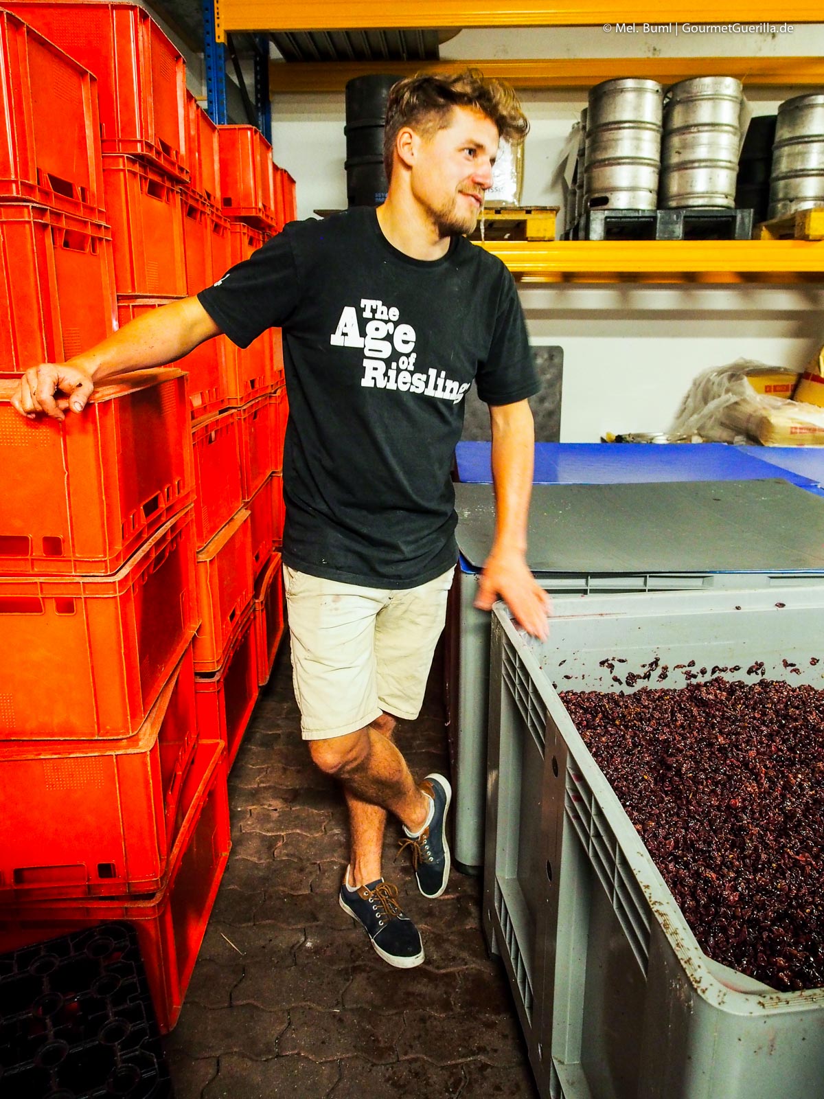Weingut Schuh Weinwandern Sächsische Weinstraße Meißen | GourmetGuerilla.de