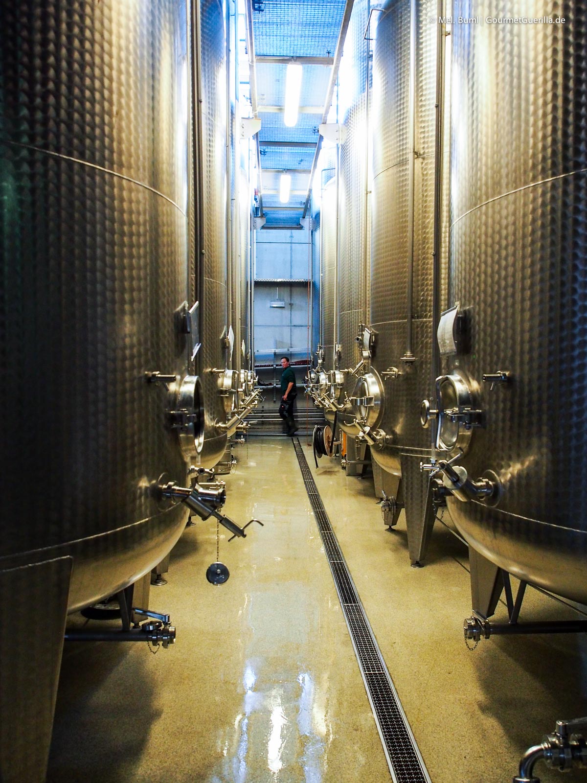 Weinmachen Tanks Schloss Wackerbarth Sächsisches Stadtweingut Weinstraße | GourmetGuerilla.de