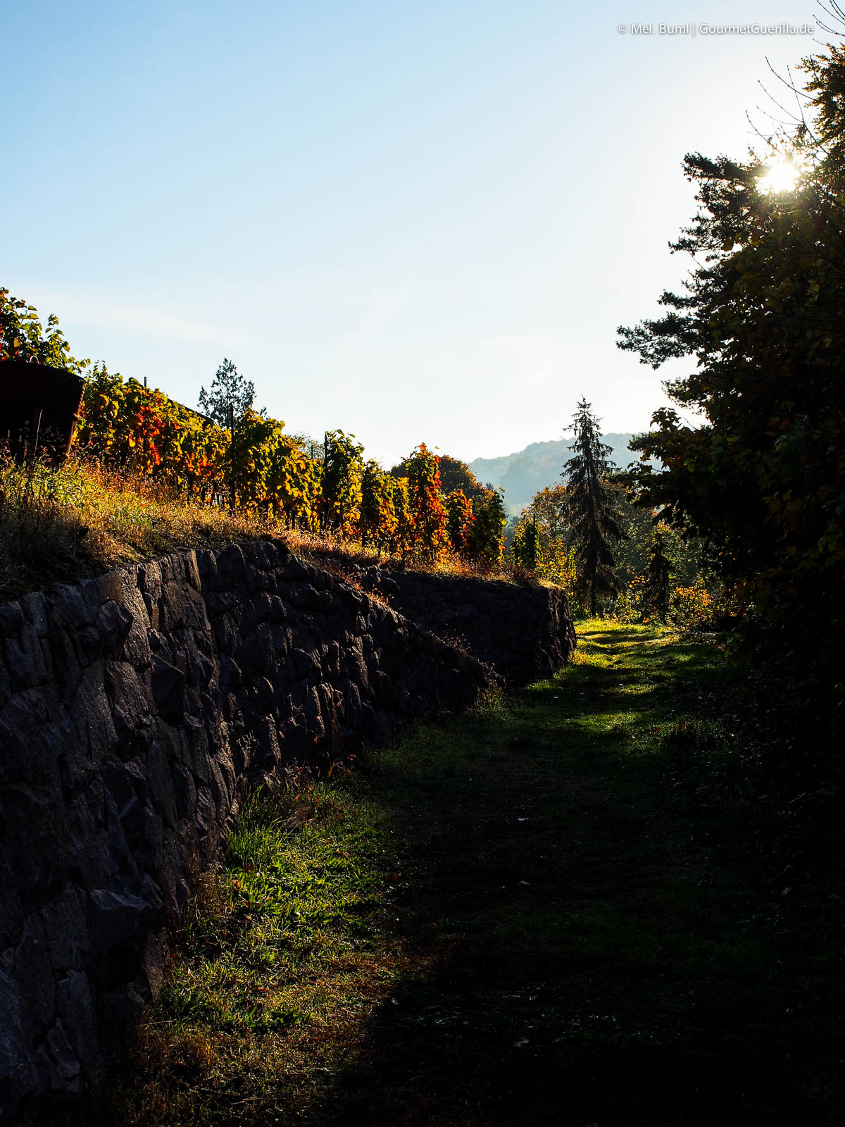Ferienwohnungen Mariaberg Meißen von Anja Fritz | GourmetGuerilla.de