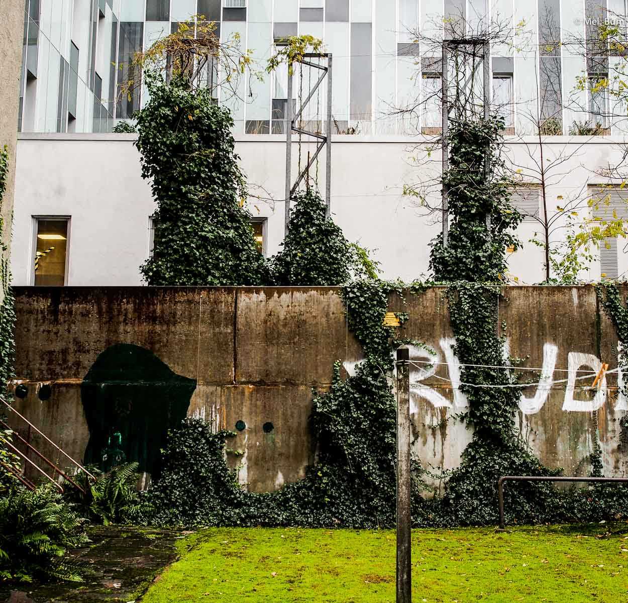 Der Siebzigjährige, der über unsere Gartenmauer sprang | GourmetGuerilla.de