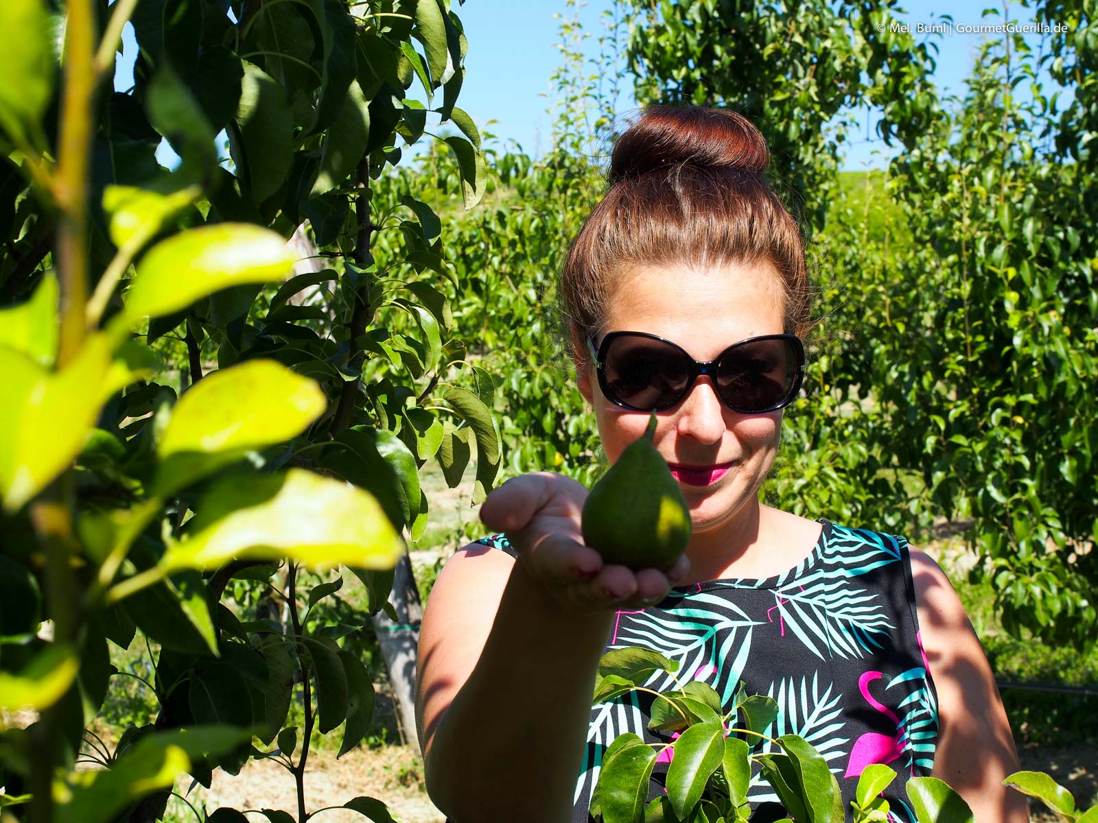 Grom - italiensiches Slow Food Eis aus Turin mit eigener Bio-Plantage | GourmetGuerilla.de