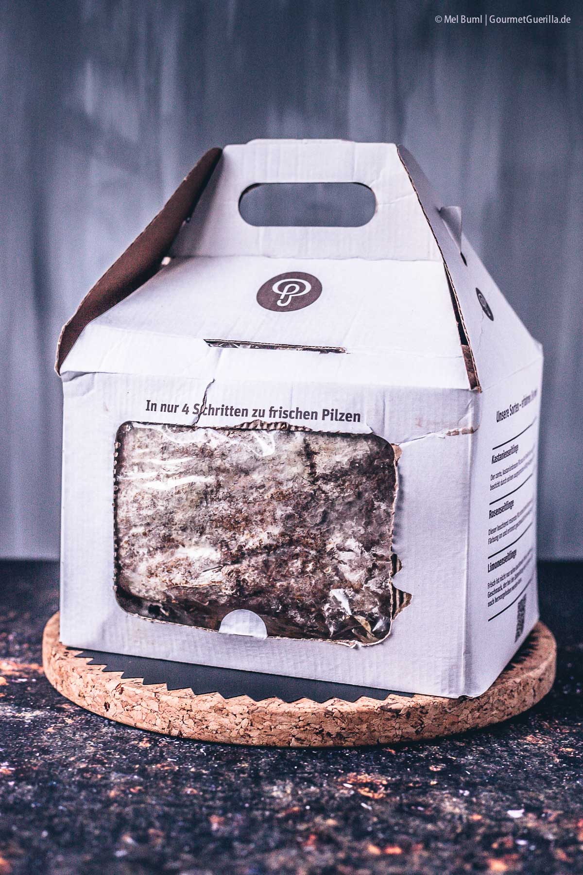Pilze einfach zu Hause selber züchten Pilzkit Pilzgarten Helvesiek | GourmetGuerilla.de