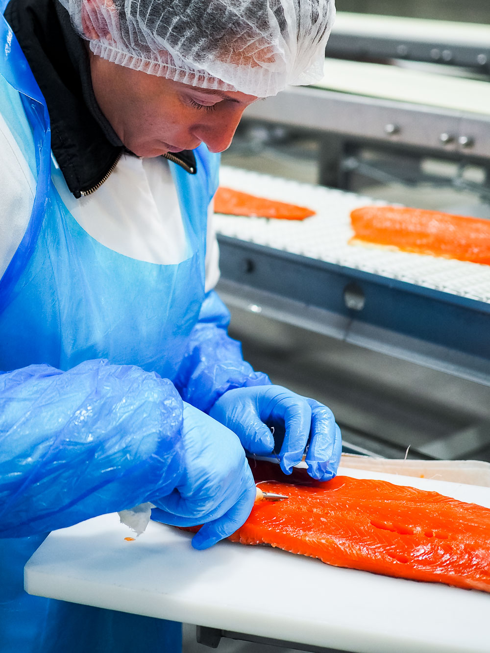 Friedrichs Feinfisch Manufaktur Herstellung und Veredelung von Alaska-Wildlachs | GourmetGuerilla.de