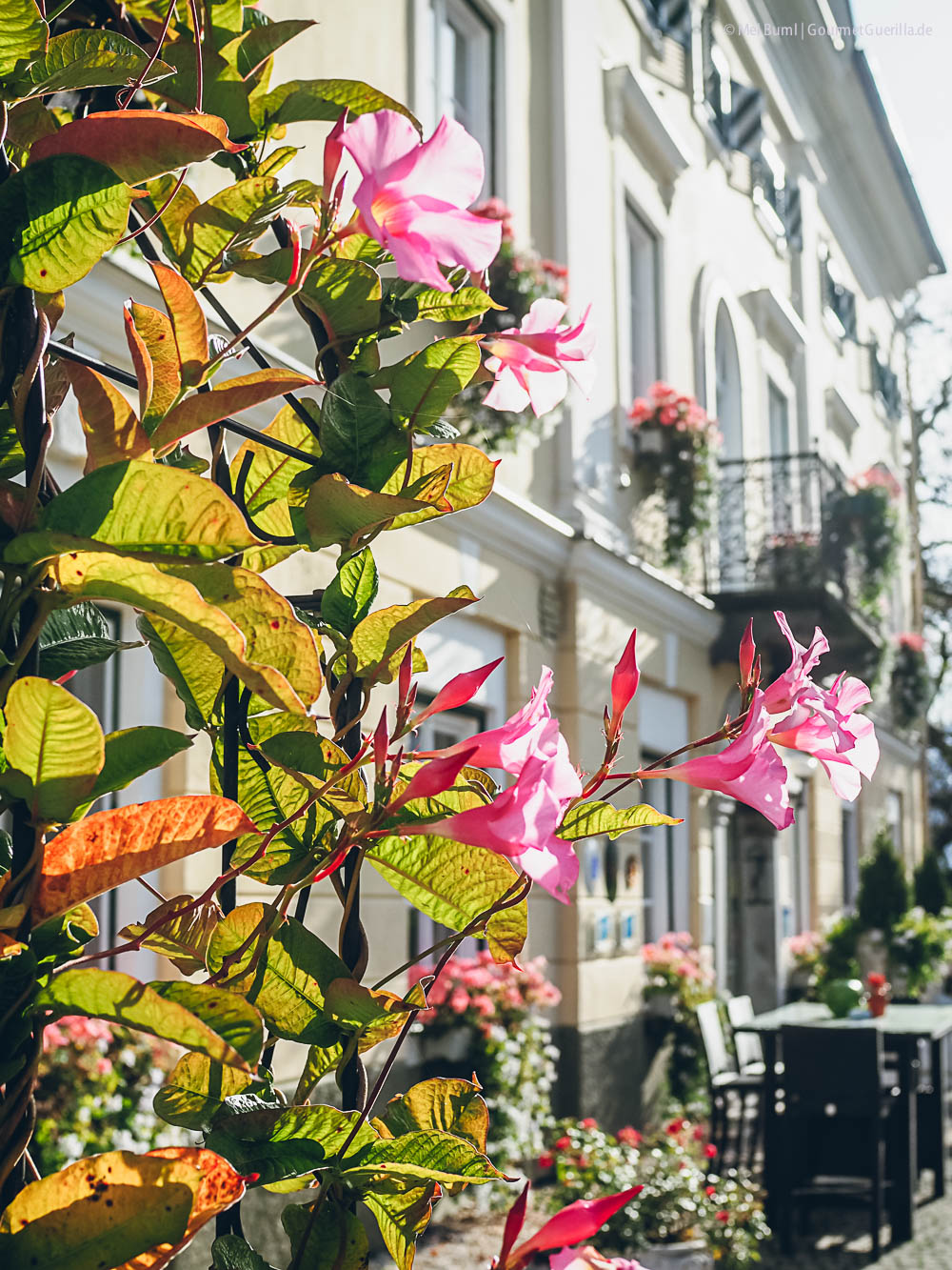 Slow Food Travel Gailtal Kärnten Hotel Schloss Lerchenhof | GourmetGuerilla.de